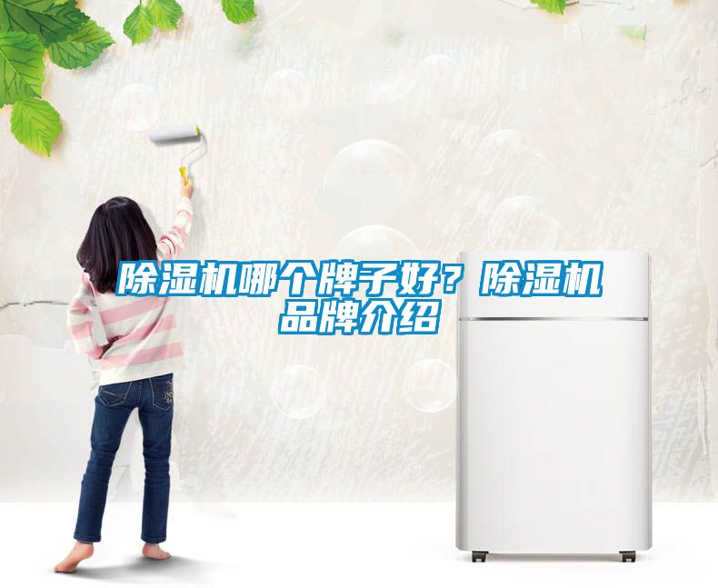 除濕機哪個牌子好？除濕機品牌介紹