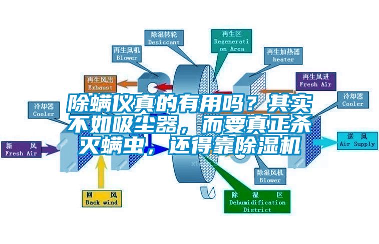 除螨儀真的有用嗎？其實(shí)不如吸塵器，而要真正殺滅螨蟲，還得靠除濕機(jī)